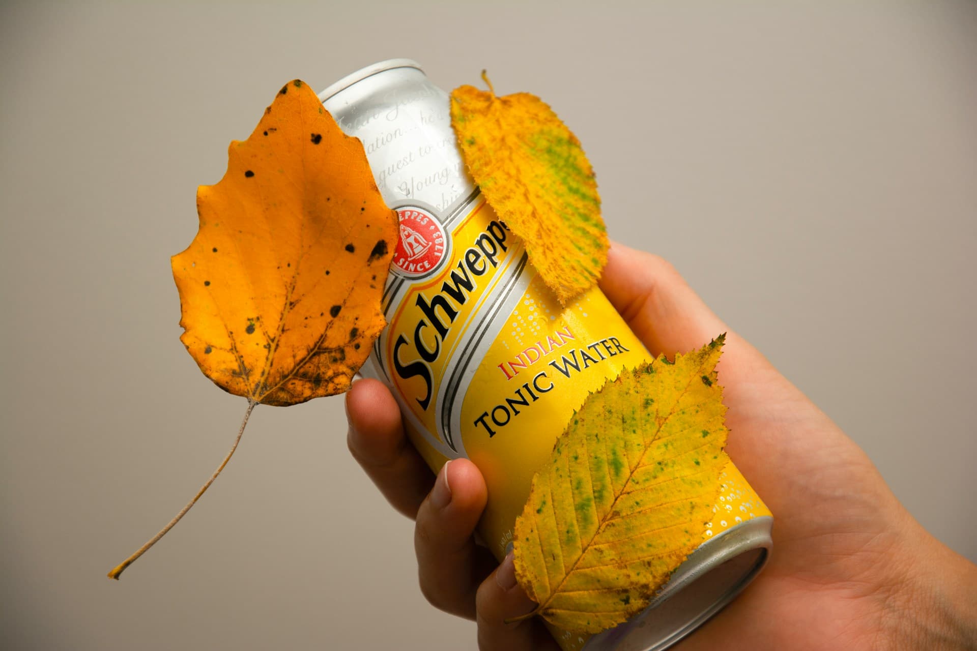 Časovničar koji je izmislio gazirana pića: Biznis lekcija iza brenda Schweppes