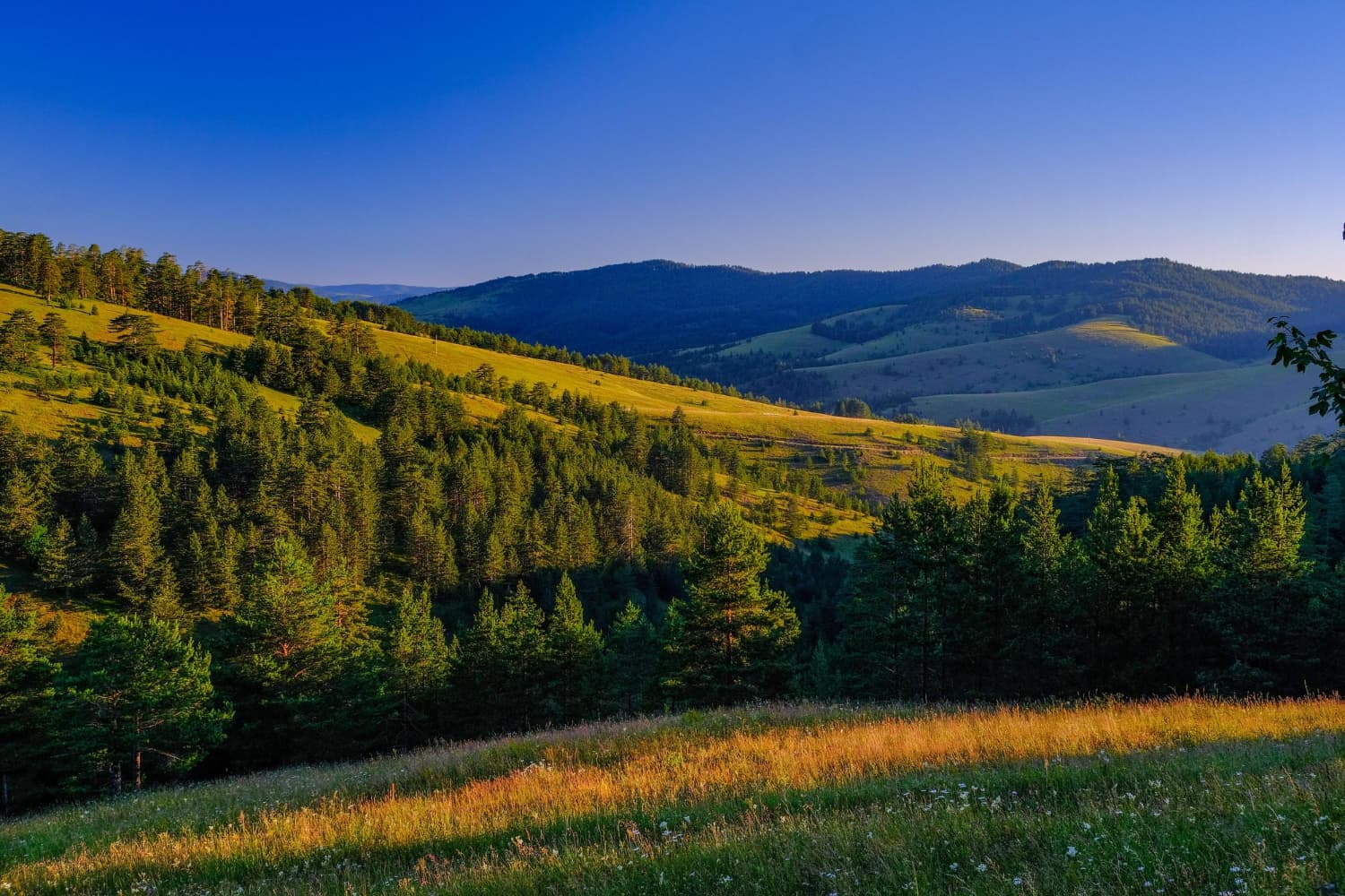 Zlatibor odmah iza Beograda: Od početka godine privukao više od 193.000 turista