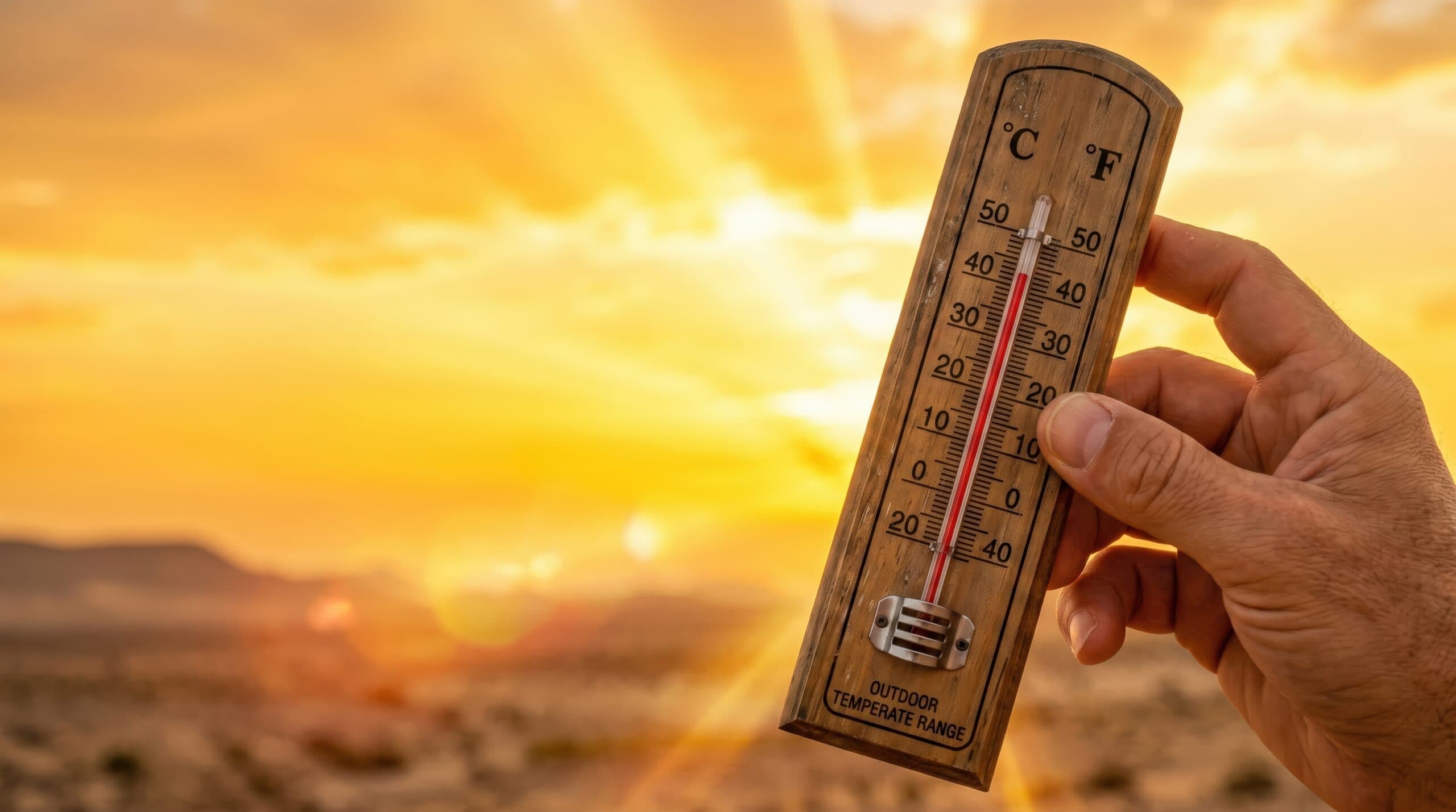 Kad temperatura dođe do 40°C, posao više nije isti: Kako se pripremiti za toplotni talas