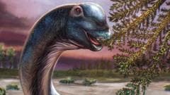 Kako je izgledao Nagatitan? Naučnici na Tajlandu otkrili fosil nove vrste dinosaurusa