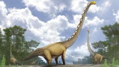 Pronađena nova vrsta dinosaurusa na Tajlandu, sa vratom dugim 20 metara