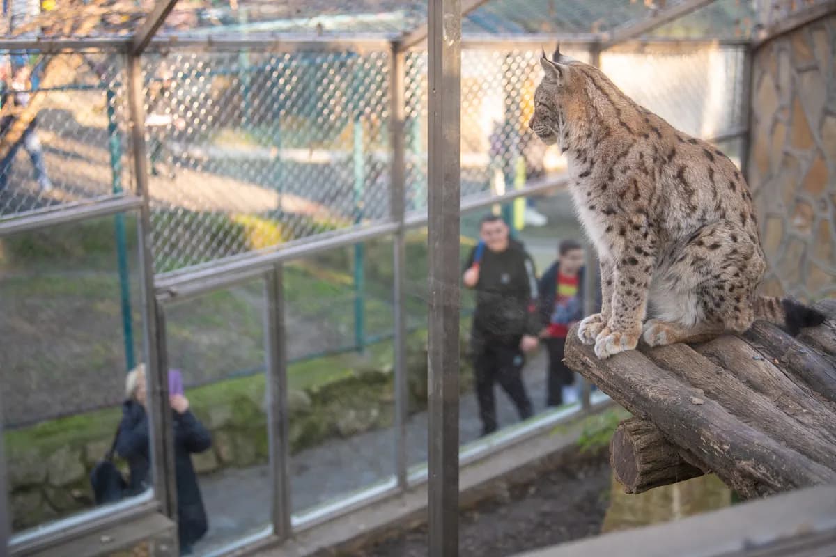 Direktor Beo zoo-vrta: Beležimo 400 hiljada poseta godišnje, u planu rekonstrukcija prostora za majmune i nova veterinarska ambulanta