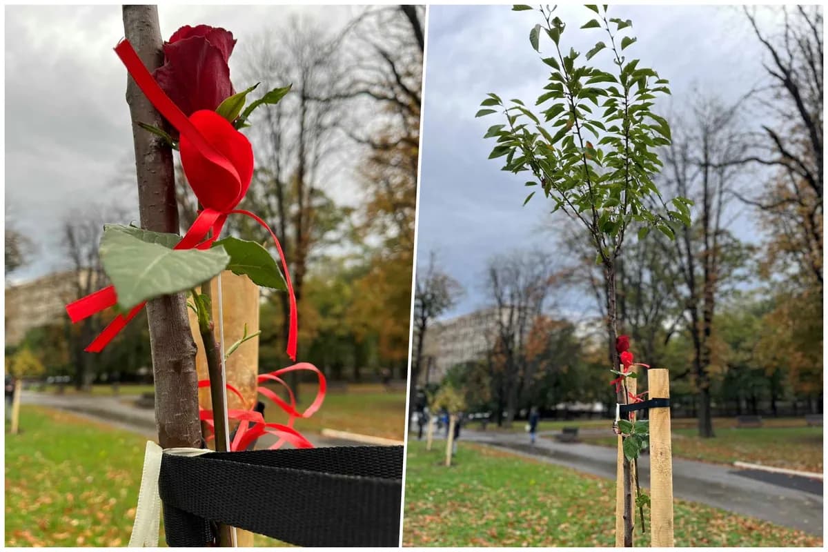 "Novosadske cvetne pijace": Tona starog papira zamenjena za sadnice, akcija se nastavlja