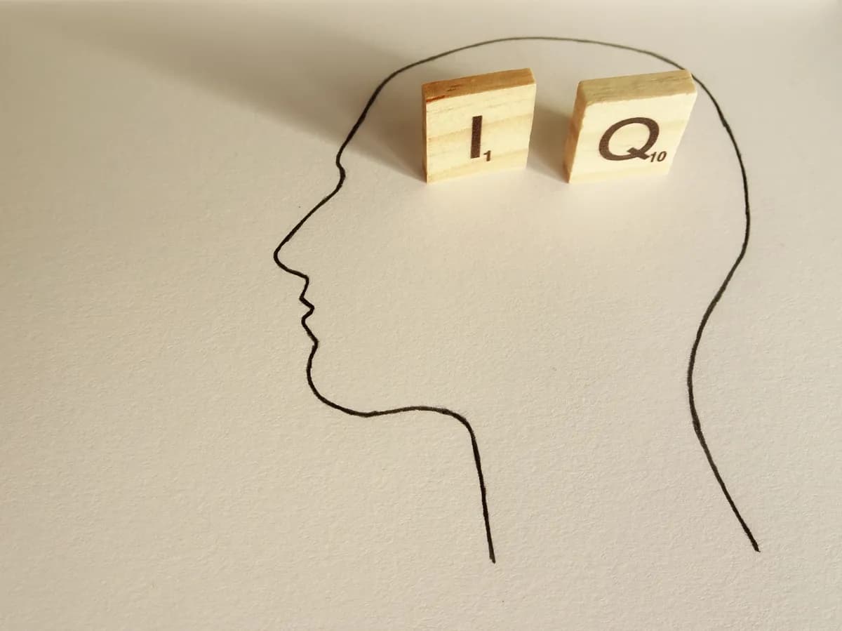 (KVIZ) IQ test za manje od devet minuta