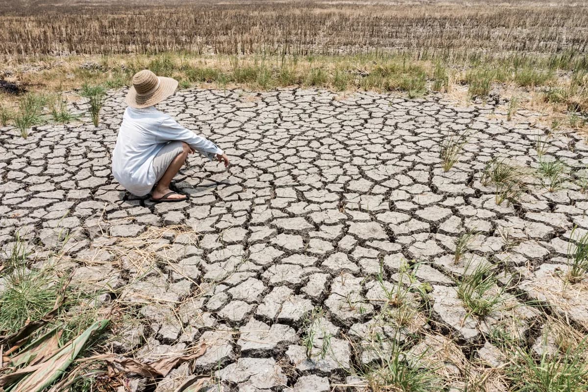Upozorenje naučnika: El Ninjo donosi poplave, suše i ekstremne temperature