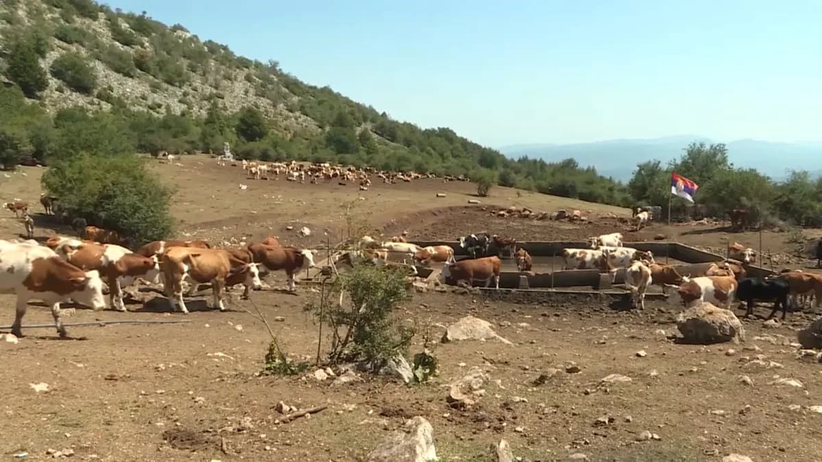 Grupa meštana u podnožju Suve planine i ove godine očistila prilazni put od smeća