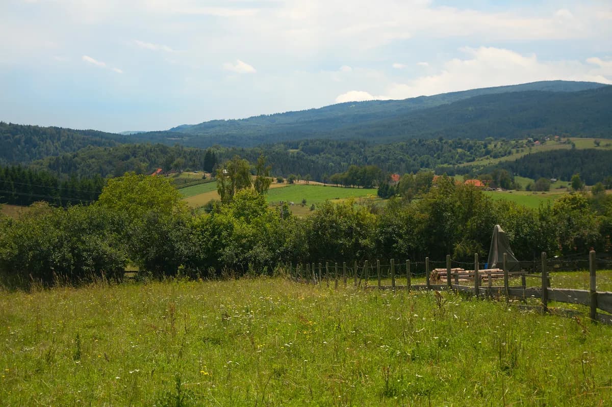 Bosanac prodao kuću u Nemačkoj i kupio pola rodnog sela - želi da ga pretvori u turističku destinaciju