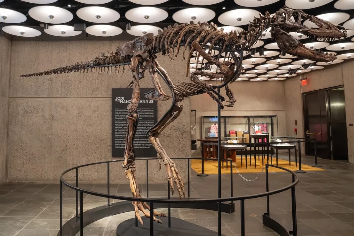 Fosil retkog dinosaurusa prodat za 47,3 miliona dolara: Jedan je od samo tri poznata primerka