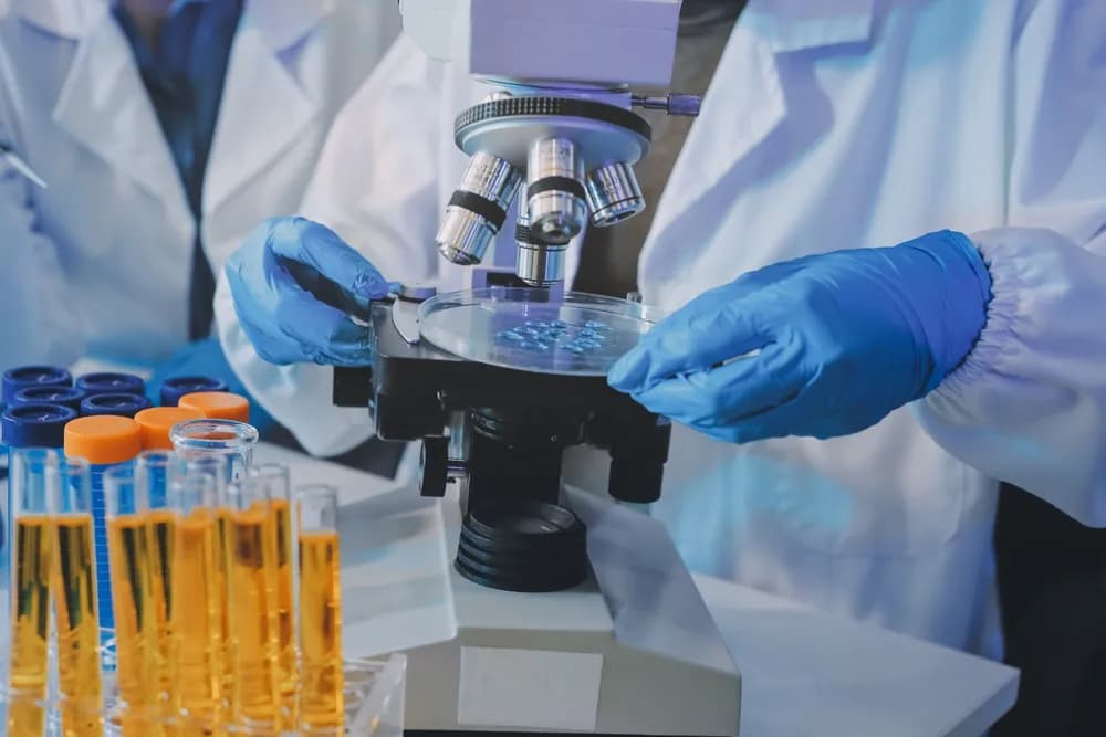 Otkriće u Japanu: Pronađen gigantski virus koji se razmnožava na do sada neviđen način
