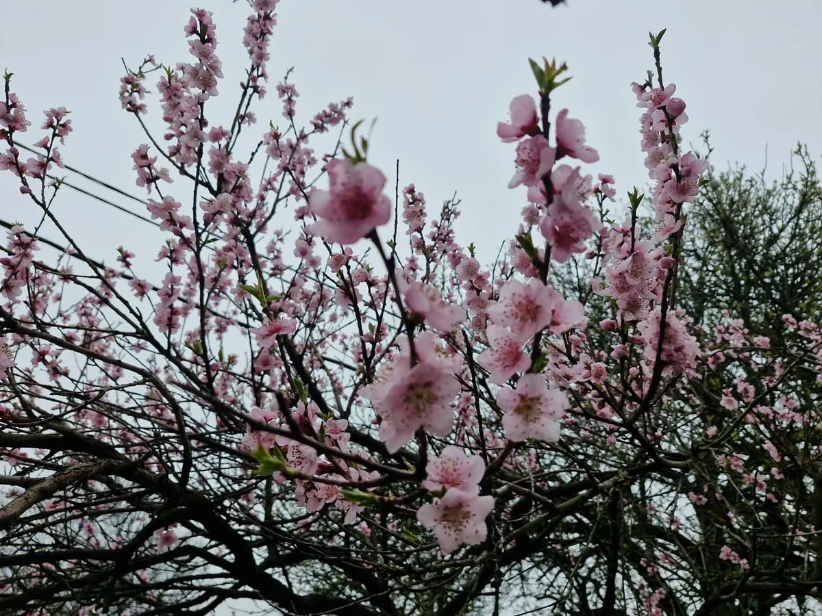 Početak sedmice doneo promenljivo i nestabilno vreme: Kada se očekuje prestanak padavina