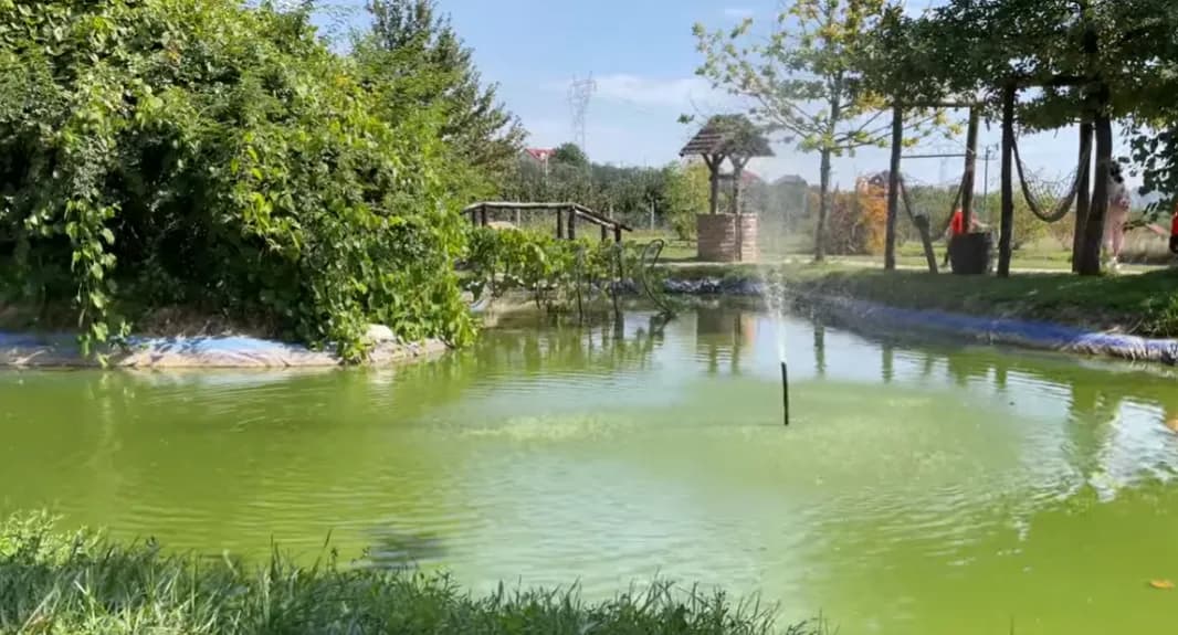 Oaza nedaleko od Beograda: Nekad je bila deponija, a danas je prirodni raj