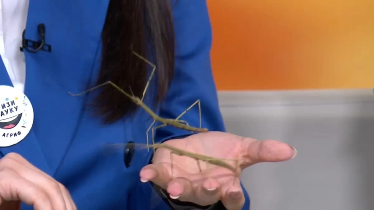 Naučni piknik naredne nedelje u Arboretumu Šumarskog fakulteta, ulaz besplatan