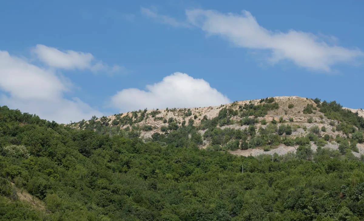 WWF Adria solar fence protect cattle from wolves in Stara Planina