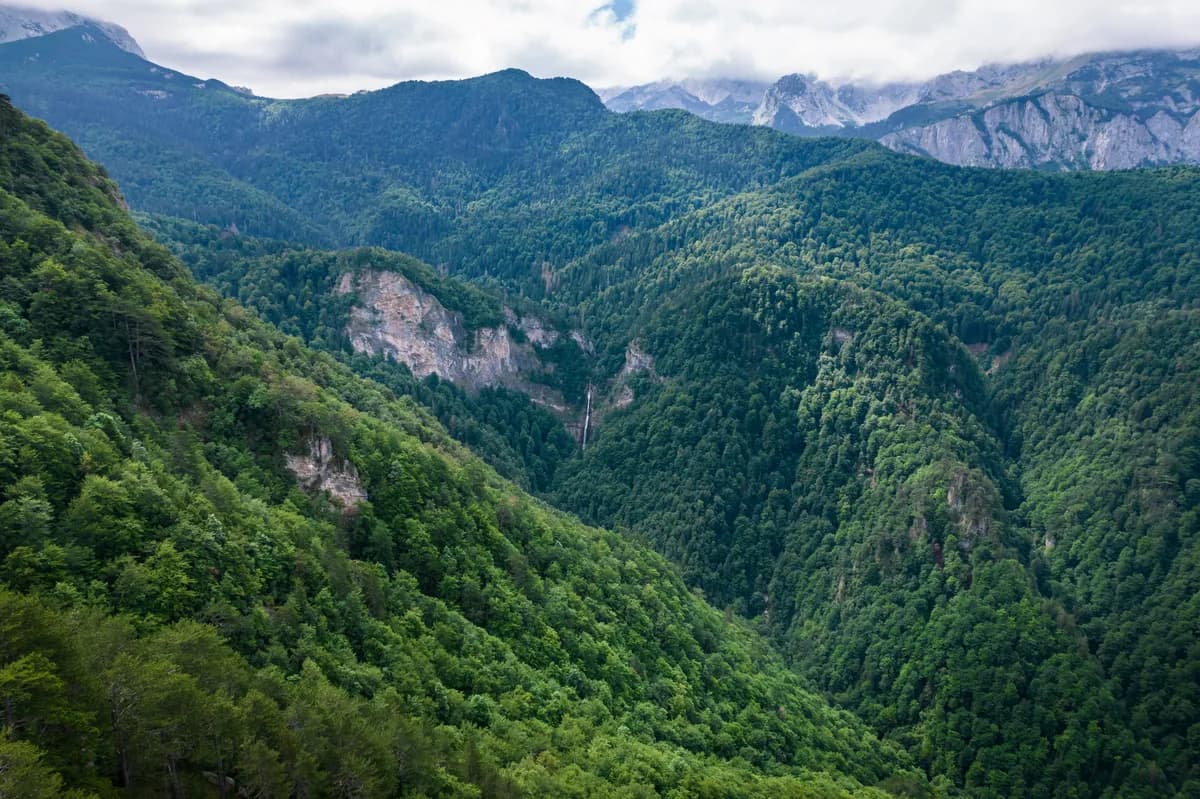 Gardijan išao u lov na bosanskog medveda, u najstarijoj šumi u Evropi