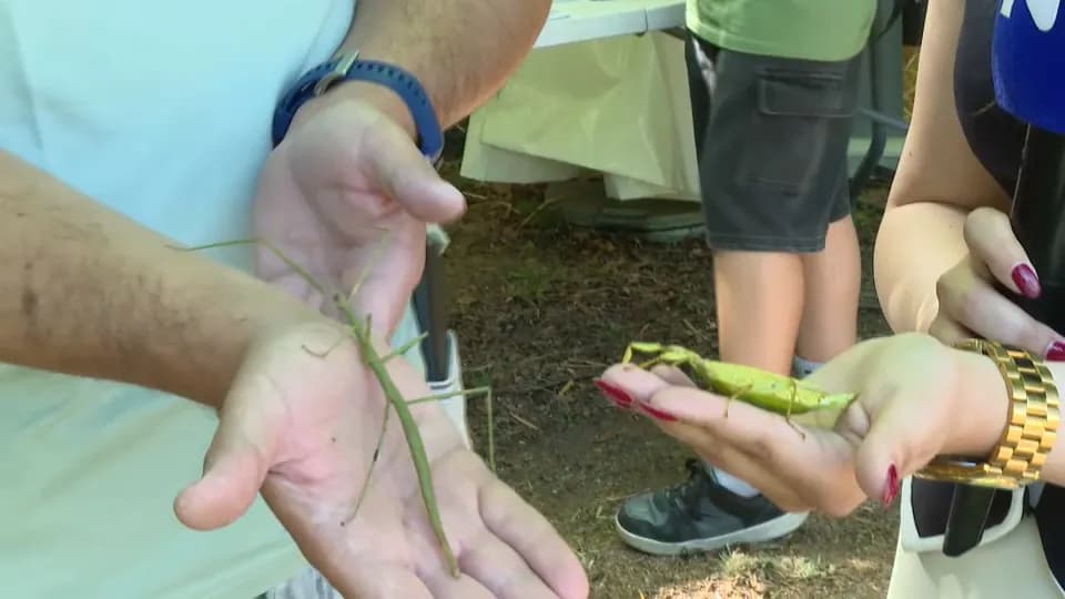 Šta sve očekuje posetioce Naučnog piknika na Banovom brdu