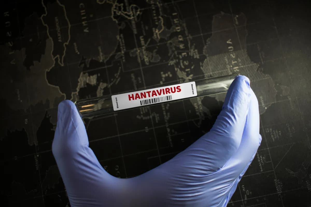 Naučnica objašnjava zašto nema mesta panici: Ovo nije novi kovid, hantavirus na Balkanu je potpuno druga bolest