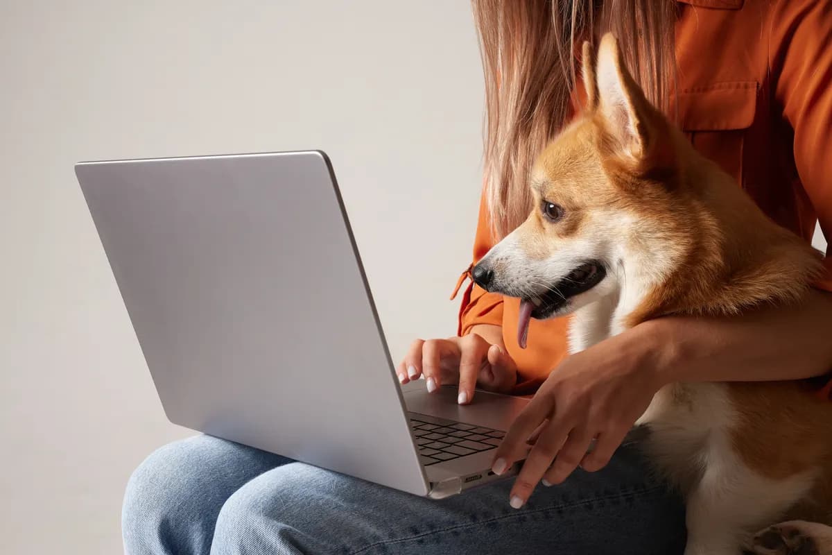Veterinari upozoravaju - ne lečite kućne ljubimce na društvenim mrežama