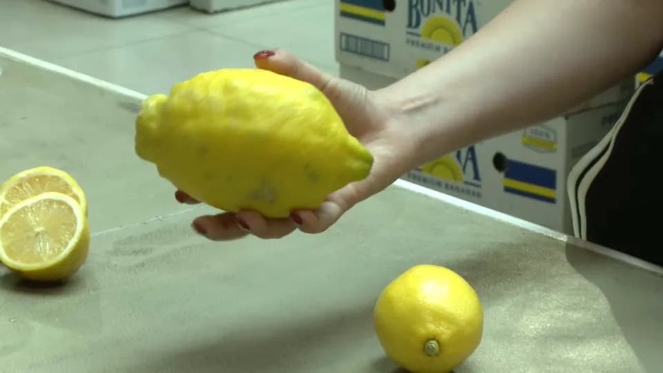 Neobično veliki limuni na srpskom tržištu, tri voćke u kilogramu