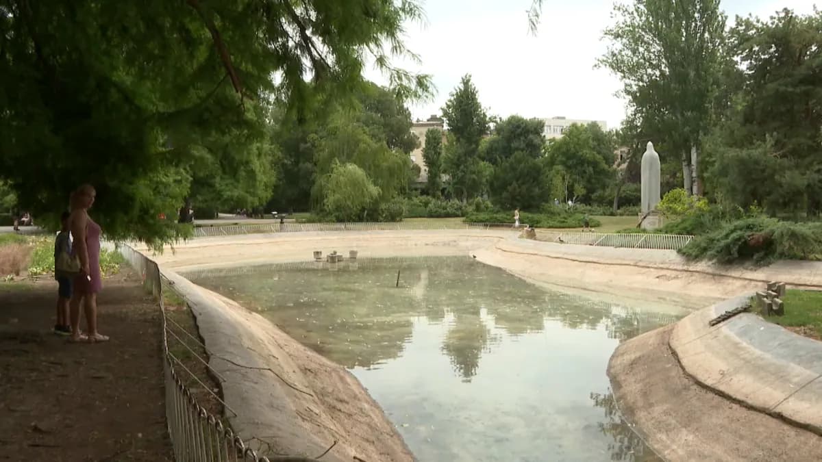 Tokom jesenje akcije “Zamenite stari papir za sadnice” spašeno 161 drvo