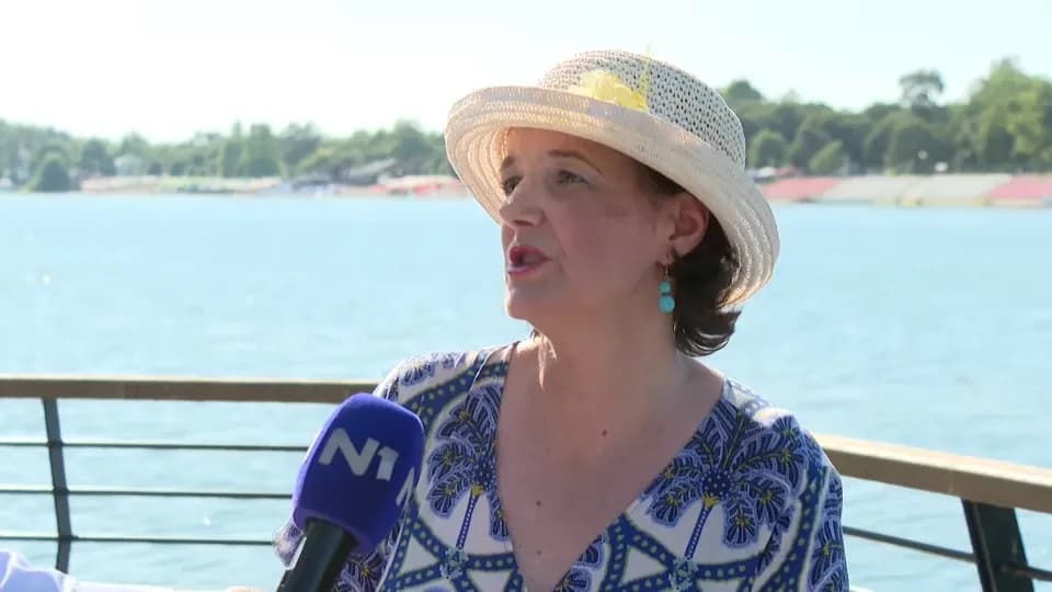 U Savsko jezero stigle iz Azije, javljaju se svake godine: Da li su meduze na Adi opasne?