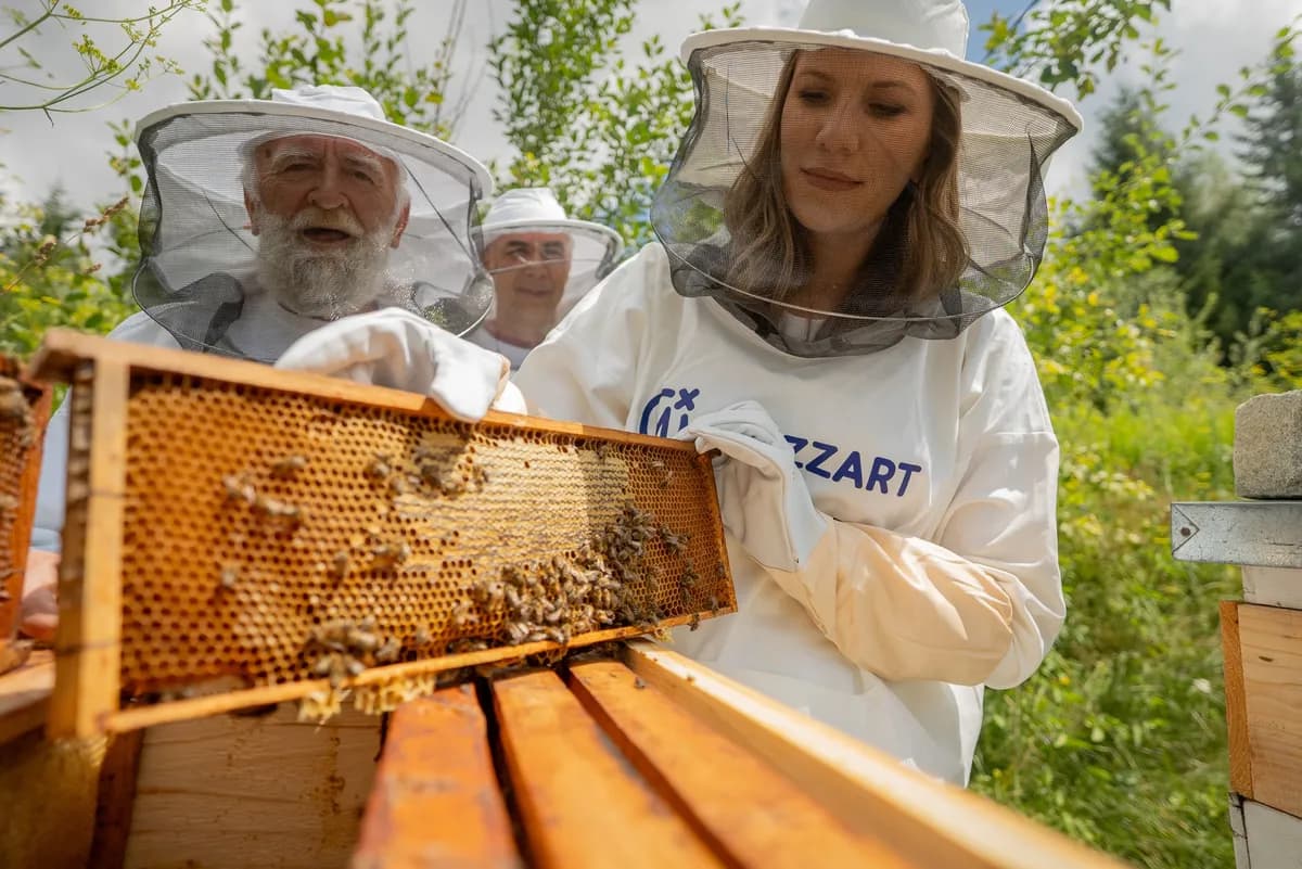 Med je lek, a ne samo hrana: Kompanija Mozzart nastavlja da čuva prirodno blago Vlasine
