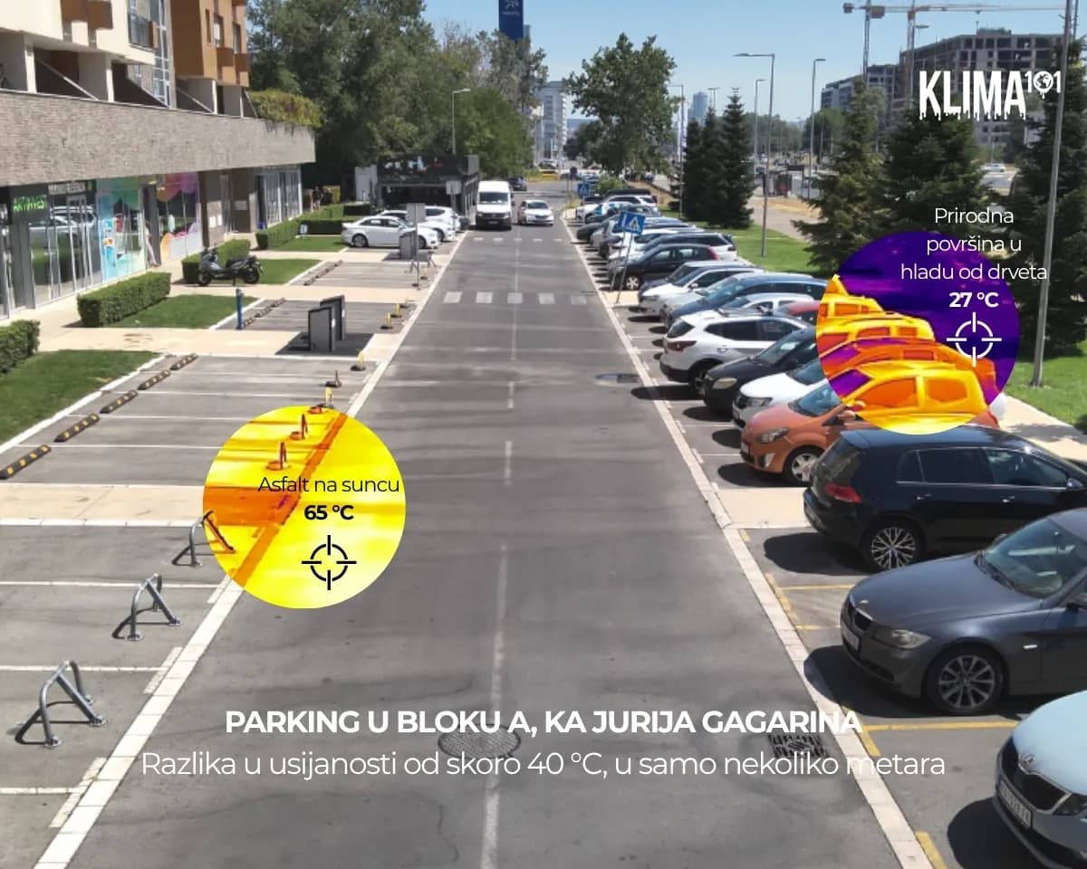U Beogradu, površine u hladu od drveća su i za 35 stepeni hladnije od usijanog asfalta i betona