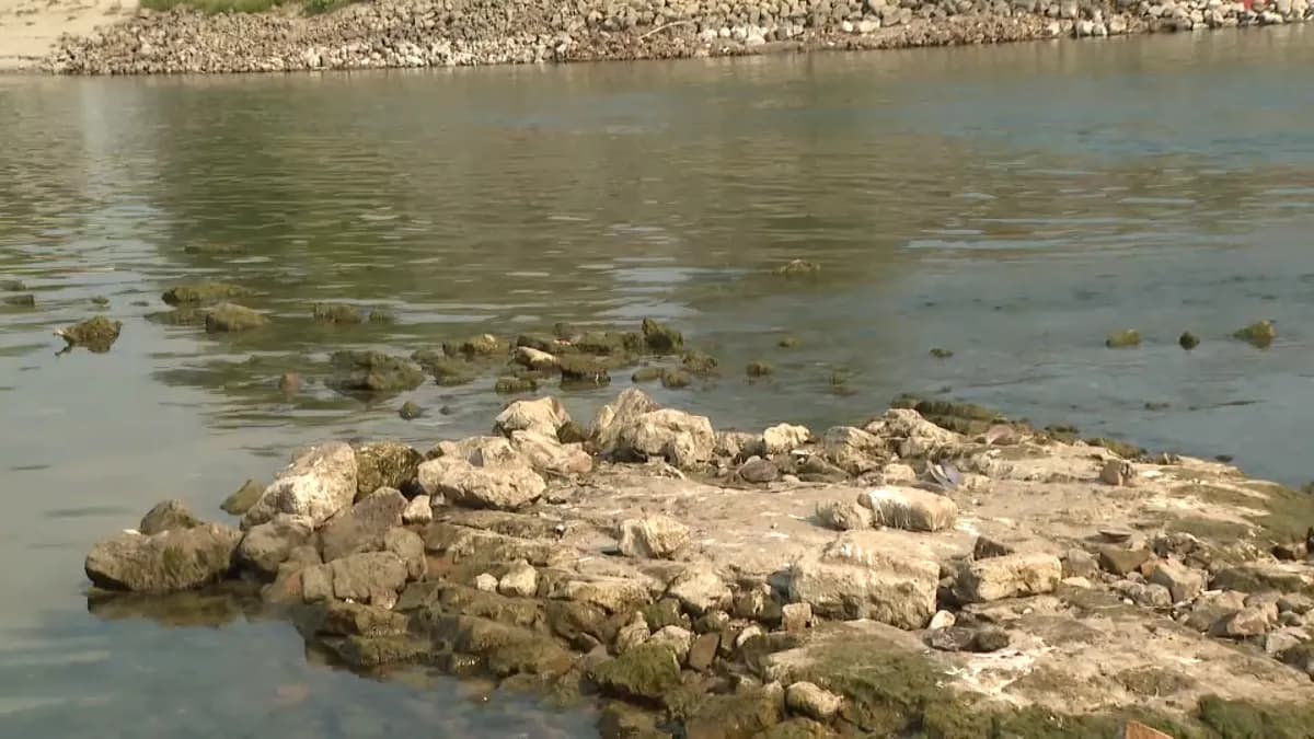 Dunav kod Novog Sada otkrio decenijama skriveno utvrđenje (VIDEO)