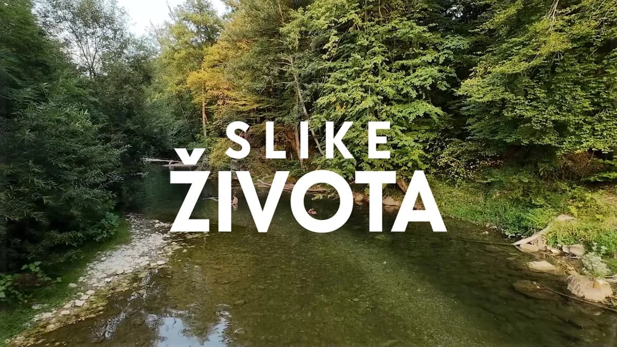 Slike života, nedelja od 15.15: Voda je tapija svih kapija