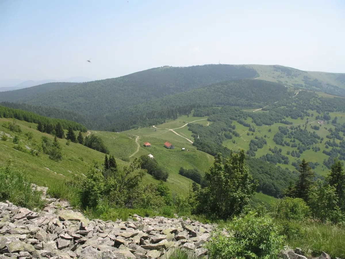 Kamera na Goliji "uhvatila" najređeg lovca ovih prostora (FOTO)
