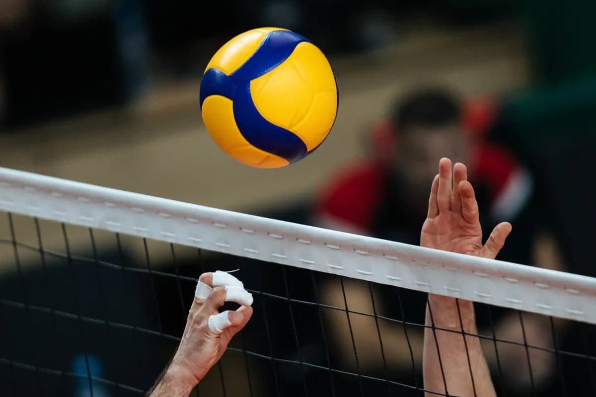 Vojvodina će se boriti za trofej, Zvezda bez finala Superlige