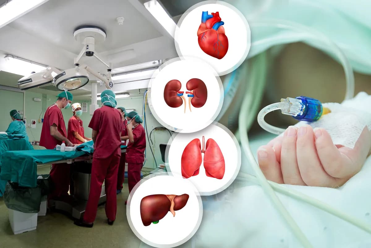 Urađena prva transplantacija pluća u Srbiji