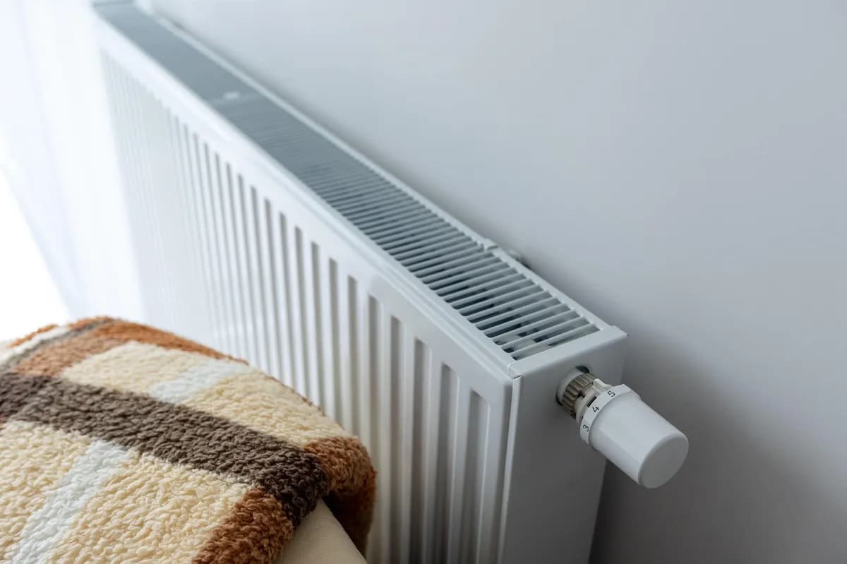 "Ja sam inženjer i ovo je idealna temperatura u stanu ako se grejete na struju, a želite da uštedite 15% na računu"