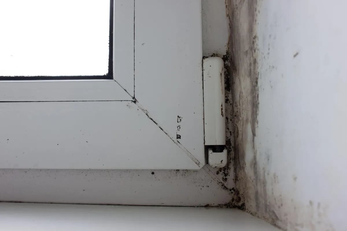 Trik kojim Finci trajno rešavaju problem vlage u kućama, a ne košta gotovo ništa