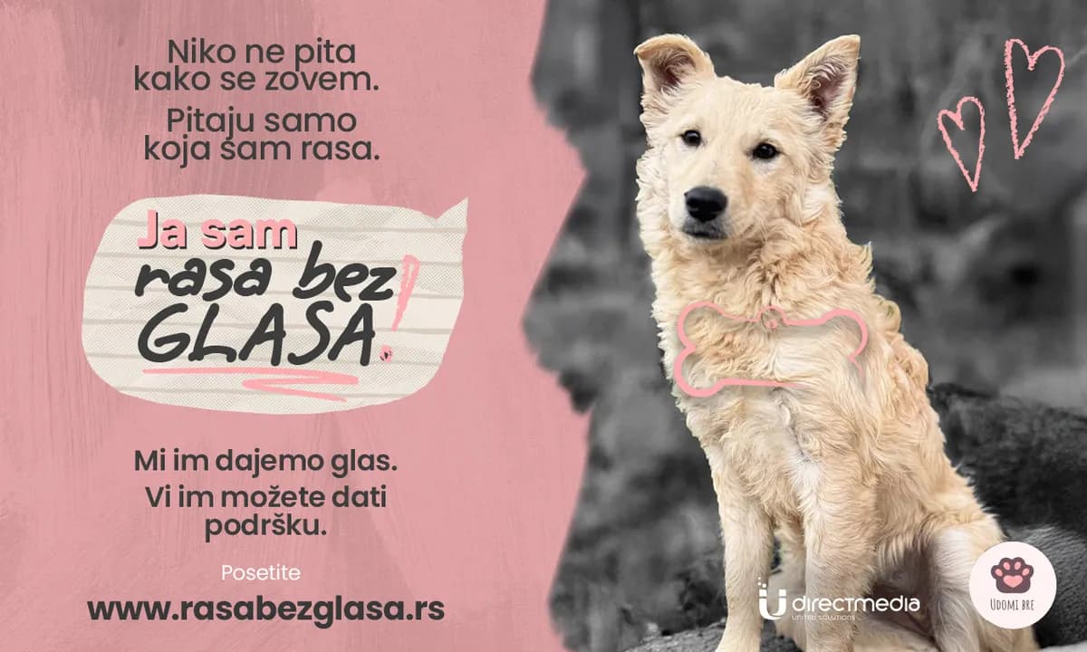 „Rasa bez glasa“: Direct Media poziva na podršku 
napuštenim životinjama