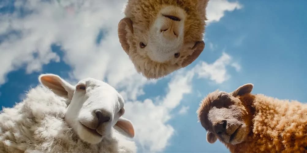 Mali dragulj, stavite ga na beskonačnu listu za gledanje: Kritika filma "Ovce i detektivi"