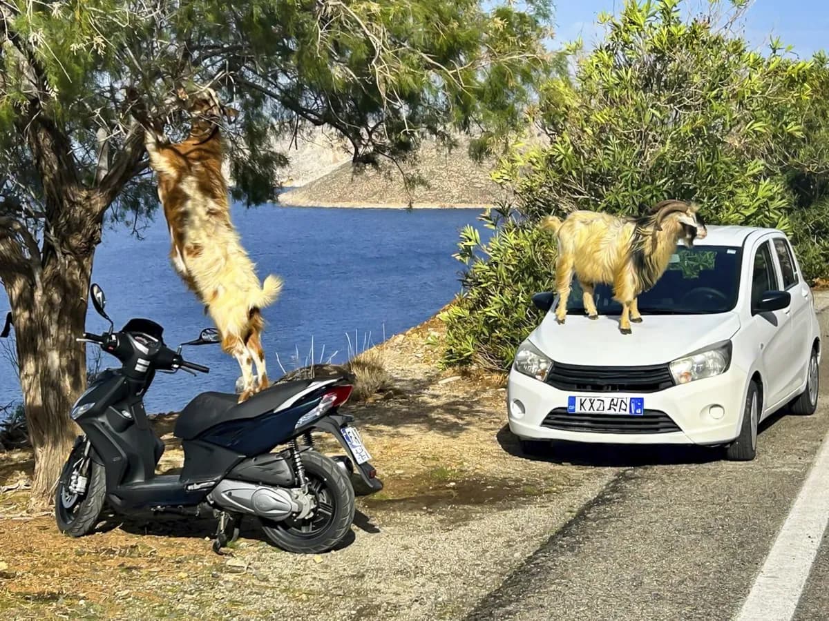 Srpski turisti u Grčkoj najčešće prave ove prekršaje, a nisu ni svesni - dok im ne naplate kaznu