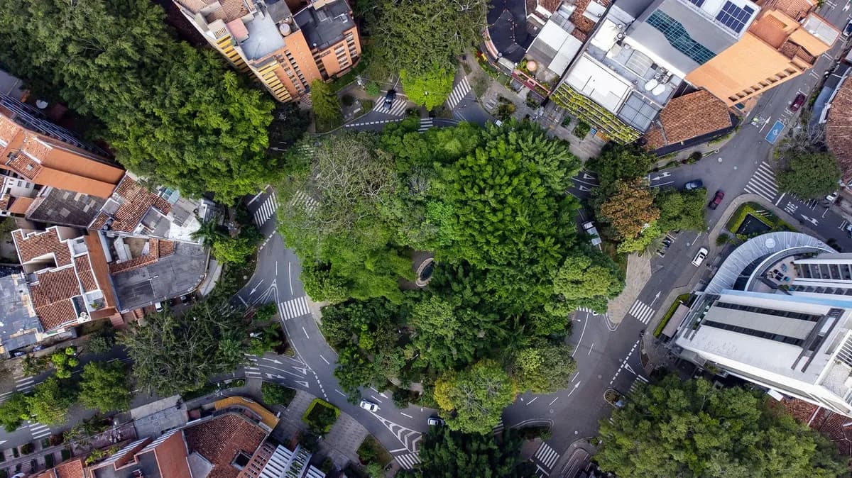 Ovaj grad je imao isti problem kao Beograd - zasadili su 880.000 stabala i evo za koliko su uspeli da spuste temperaturu