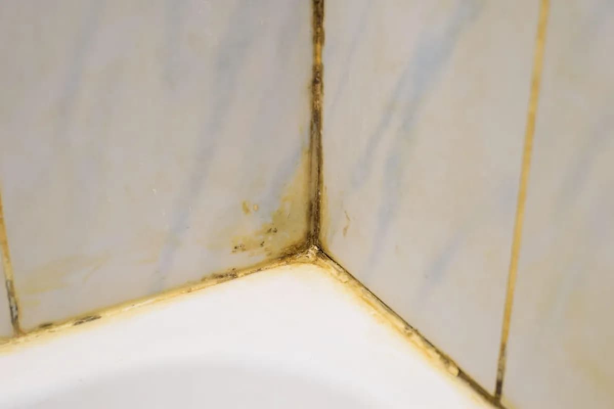 Žena otkrila kako je uspela da pobedi buđ na rubovima tuš-kabine bez ribanja i rešila problem mnogih kupatila