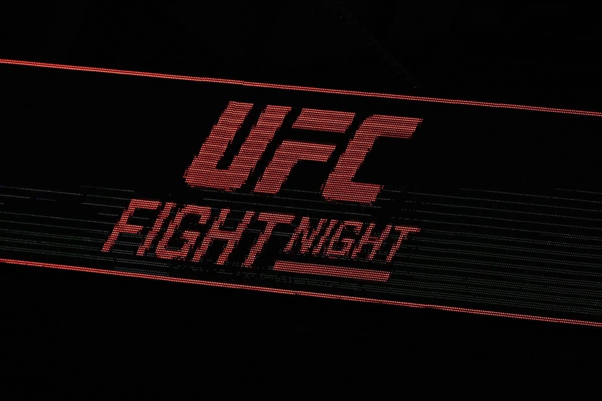 Još jedan Srbin na UFC u Beogradu, doneta odluka u poslednjem trenutku