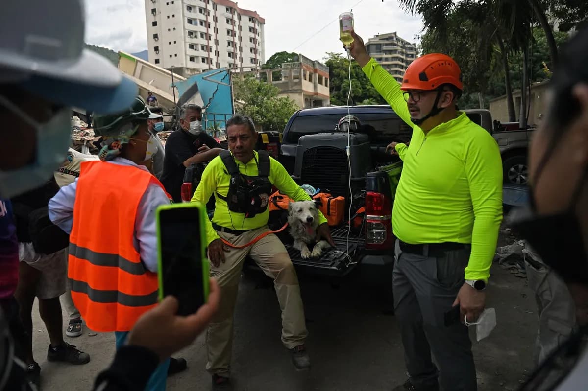 FOTO, VIDEO Od napuštenog zlostavljanog šteneta do heroja: Ceo svet priča o Cunamiju, psu koji je spasao 300 ljudi iz ruševina