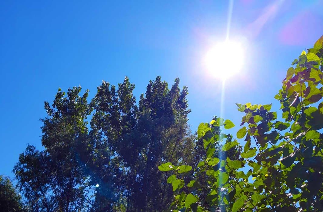 Pretežno sunčano i toplo, najviša temperatura oko 29 stepeni