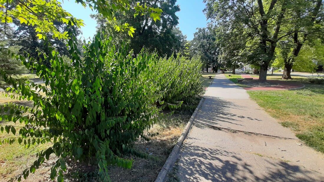Nestabilno, ali toplo vreme, temperature do 32 stepena