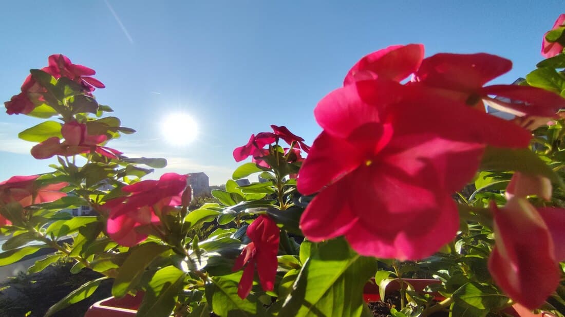 Sunčano i toplo, sa temperaturom do 26 stepeni