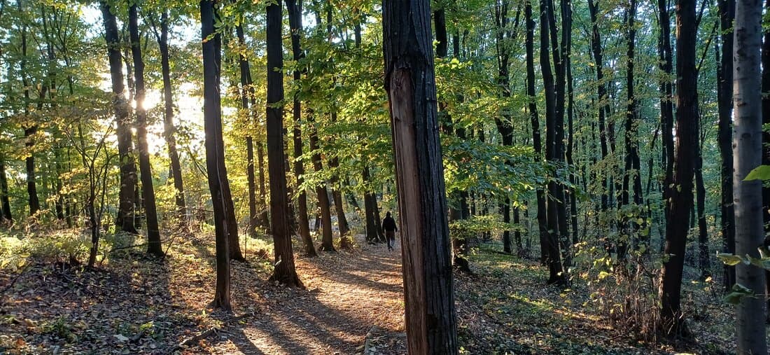 Srbijašume apeluje na građane da budu odgovorni tokom prvomajskih praznika u prirodi