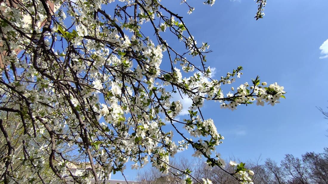 Todorović: Tokom uskršnjih praznika svežije vreme, skok temperature od 20. aprila