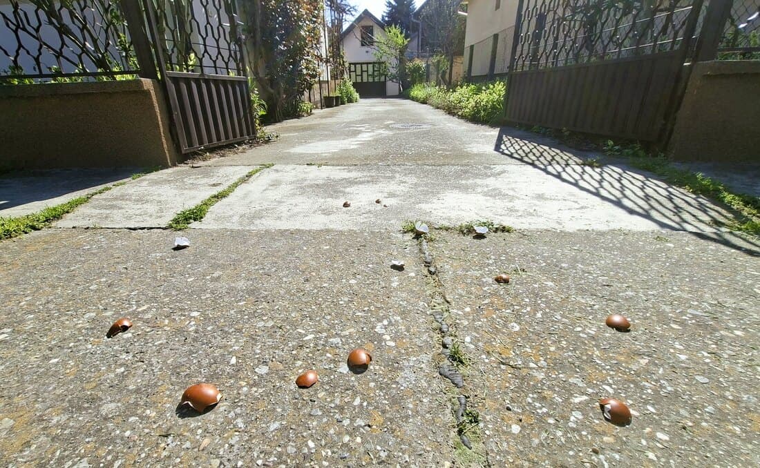 Uskršnji običaji na jugu Banata
