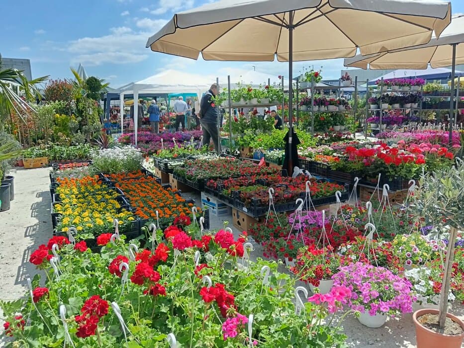 Na Sajmu hortikulture u Kragujevcu oko stotinu izlagača iz centralne Srbije
