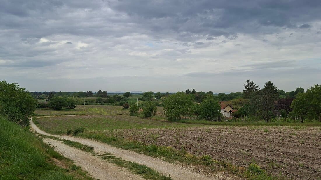Toplo, ali promenljivo oblačno, upozorenje na obilne pljuskove sa grmljavinom, uz kratkotrajnu pojavu grada