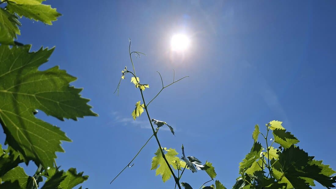 Pretežno sunčano i toplo vreme do sredine avgusta