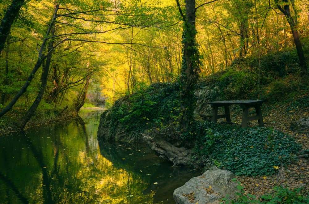 Bugari oduševljeni istočnom Srbijom: Netaknuta priroda i bogato kulturno nasleđe privlače turiste FOTO